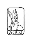 Gallus